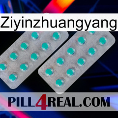 Ziyinzhuangyang 29